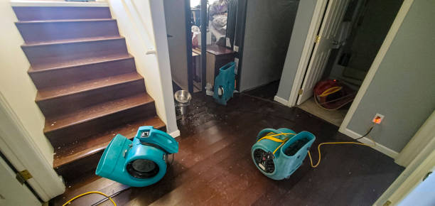 Best 24-hour water damage restoration  in Westgate, FL