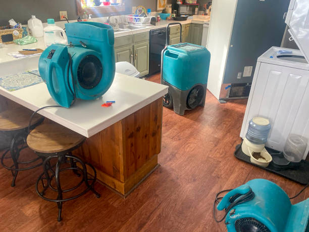 Reliable Westgate, FL Water damage restoration Solutions
