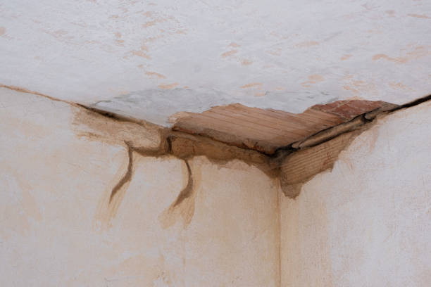 Best Water damage restoration near me  in Westgate, FL