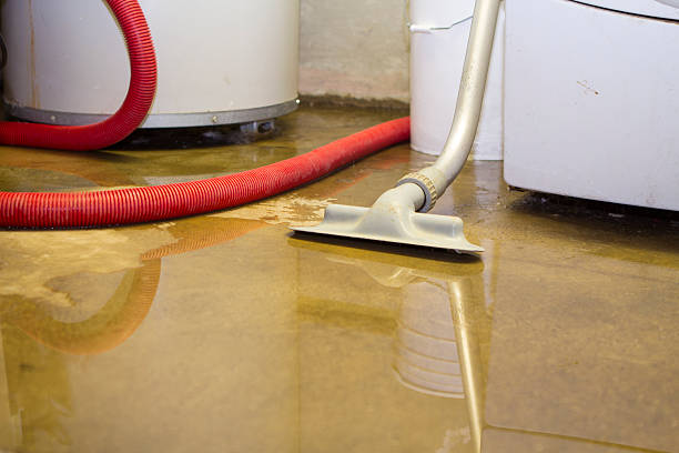Best Ceiling water damage repair  in Westgate, FL