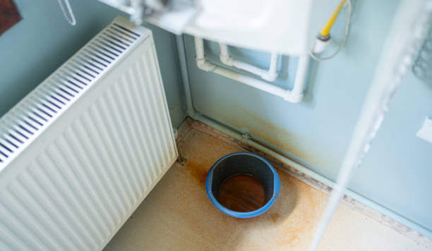 Best Flood damage cleanup  in Westgate, FL