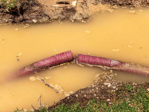 Carpet water damage restoration in Westgate, FL