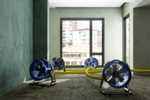 Best Water damage cleanup near me  in Westgate, FL