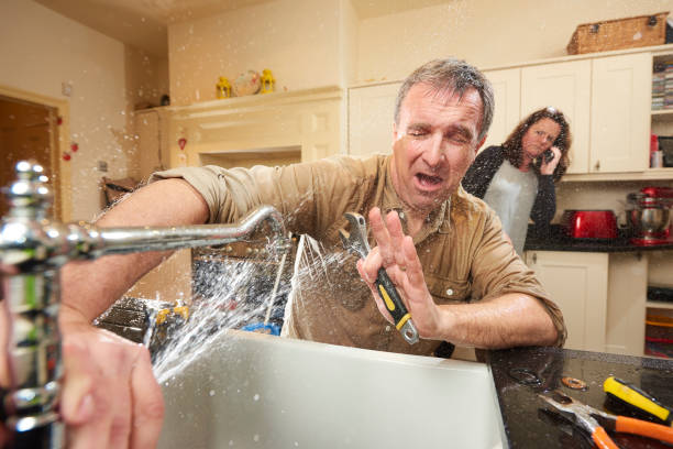 Best Water damage restoration experts  in Westgate, FL